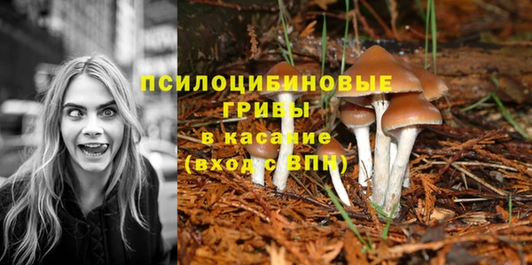 мет Горно-Алтайск