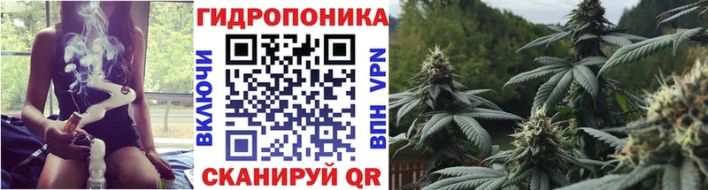 Марихуана индика  продажа наркотиков  МЕГА как зайти  Дзержинск 
